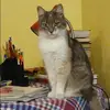 Отзыв от Кристина Коровина